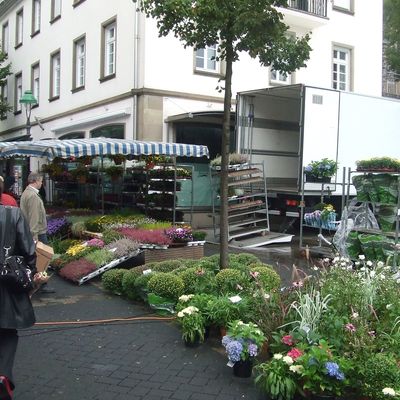 Bild vergr��ern: Wochenmarkt