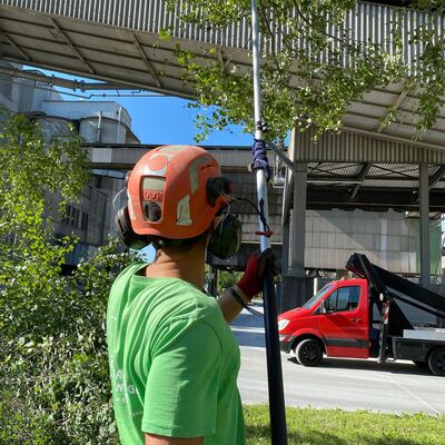 Bild vergr��ern: Baumf�llarbeiten